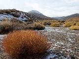 Death Valley 041 : Vermont Canoe Spring